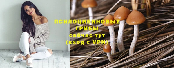 дмт Верхний Тагил