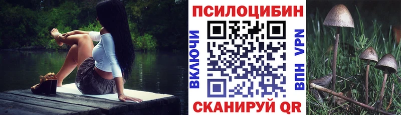 даркнет сайт  Череповец  Псилоцибиновые грибы GOLDEN TEACHER 